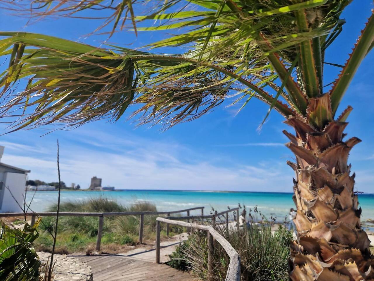 Villa Turchese Santisidoro Nordsudcasavacanza Torre Squillace エクステリア 写真